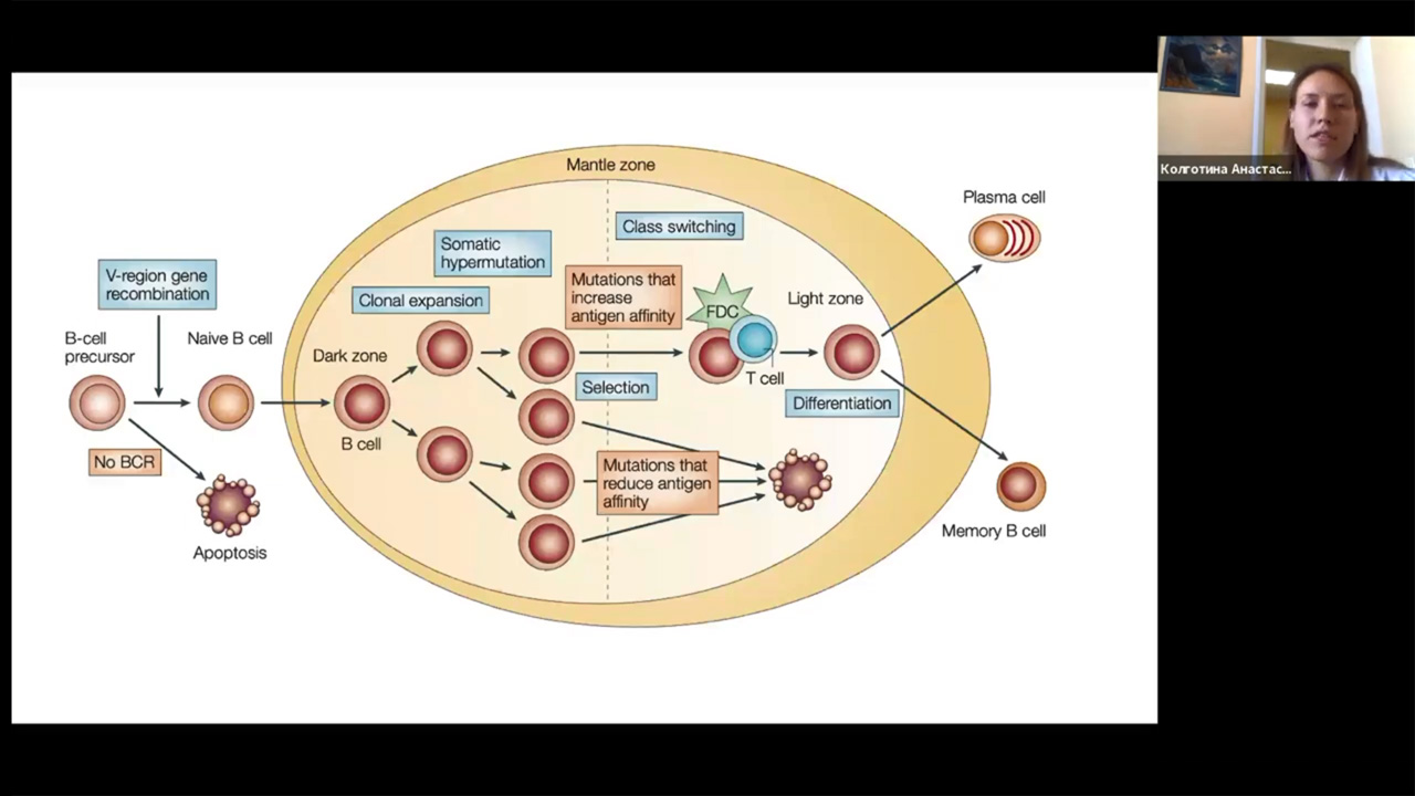 Академия RUSSCO для подготовки к экзамену ESMO: Неходжкинские лимфомы (28 сентября 2025)