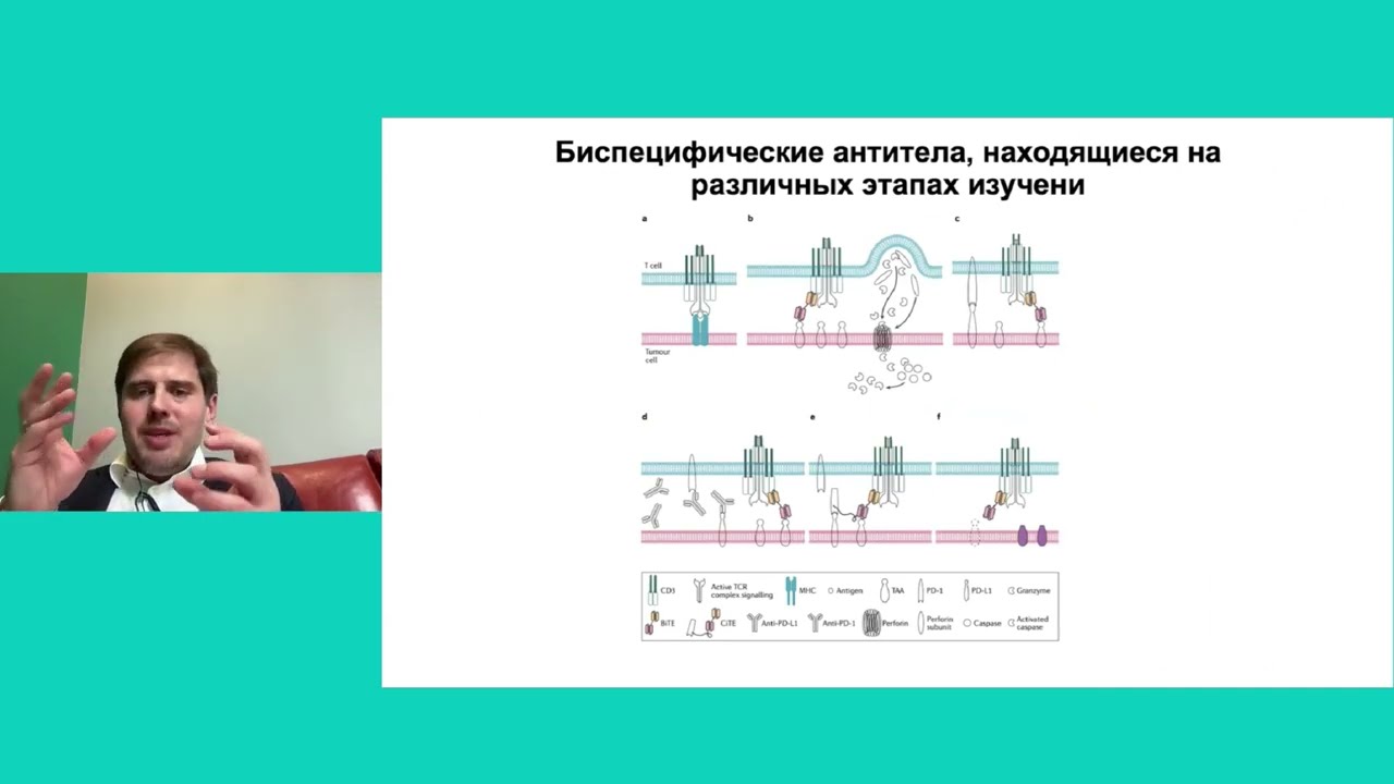 Новые перспективы иммунотерапии: новые ингибиторы иммунных контрольных точек